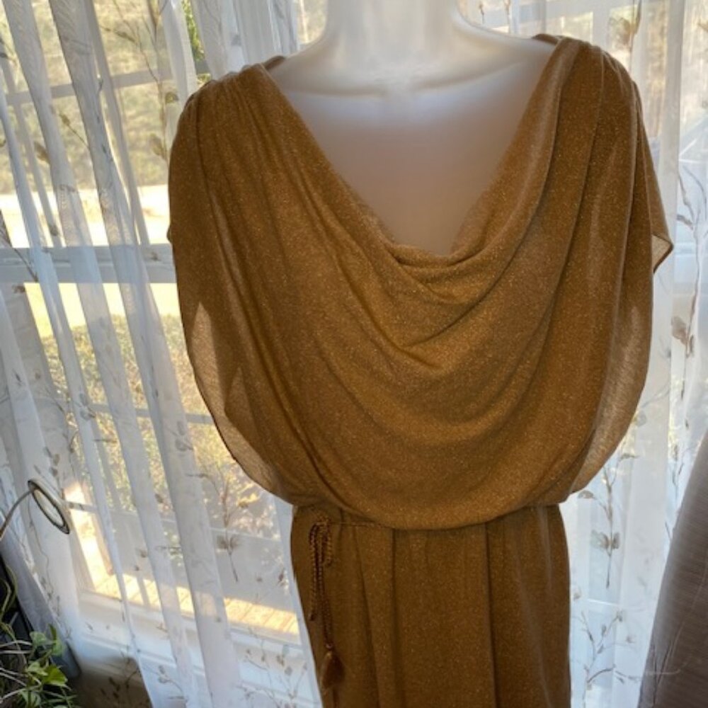 Nine & Co. Gold Metallic lined Dress with breaded belt, Size 12 (NEW)
